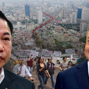 HÀ NỘI: DÂN KÊU CỨU VÌ GẦN 360 CÂY XANH SẮP BỊ CHẶT HẠ 