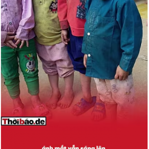 THƯƠNG NGƯỜI NGOÀI, QUÊN NGƯỜI NHÀ.