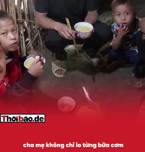 HỌC PHÍ 1, PHỤ PHÍ 10