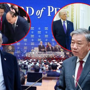 CUỘC ĐUA „NGOẠI NGỮ VƯƠNG“: AI OAI HƠN TRÊN SÂN KHẤU QUỐC TẾ?