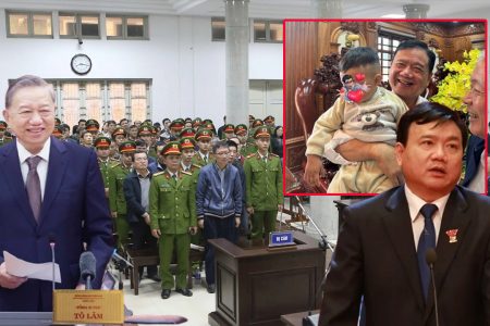 Căn Nhà Gỗ“ Và Kịch Bản Hoán Đổi 800 Tỷ Đồng