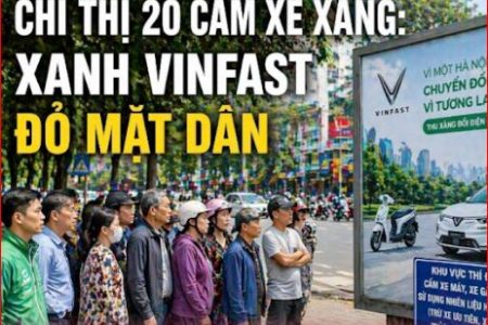 Chỉ thị 20 của Phạm Minh Chính đang lung lay trước sức ép từ thị trường.