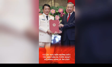 Từ Cây Mai Đến Miếng Đất: Tài Sản Dân Bị Tước Đoạt Dễ Dàng Hơn Cả Ăn Cắp!