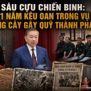 Sáu cựu chiến binh: 11 năm kêu oan trong vụ án trồng cây gây quỹ thành phá rừng